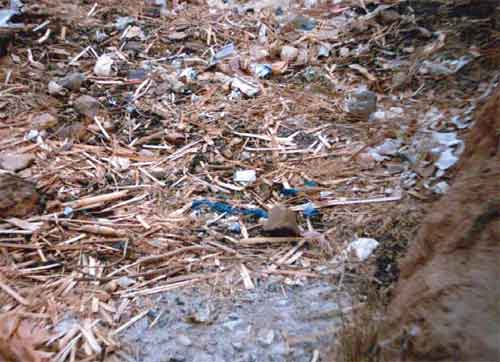School rubbish pit (photo taken by children in Zambia)