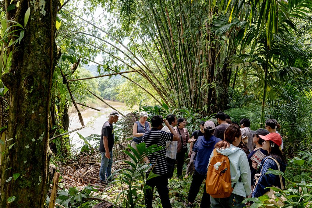 Sixteen people stand in a group within a forested area next to a river. Most of them look like students who are looking  up into the canopy and around them and listening to a woman, who is the group leader, talking.